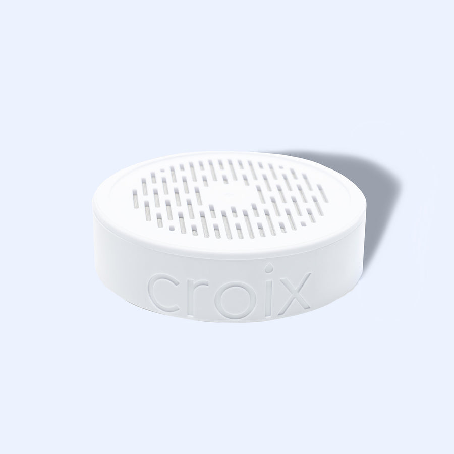 Classic Showerhead Replacement Filter 2